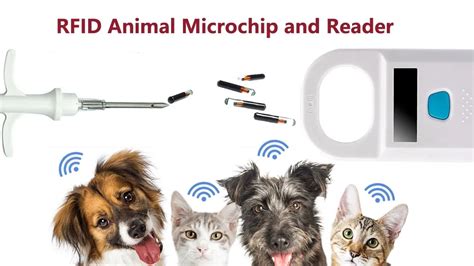 tracking pets rfid